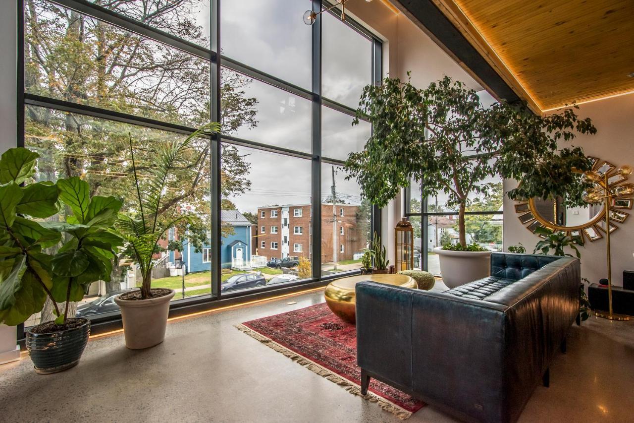 The Halifax Rooftop - Cozy Spa B&B Exteriör bild